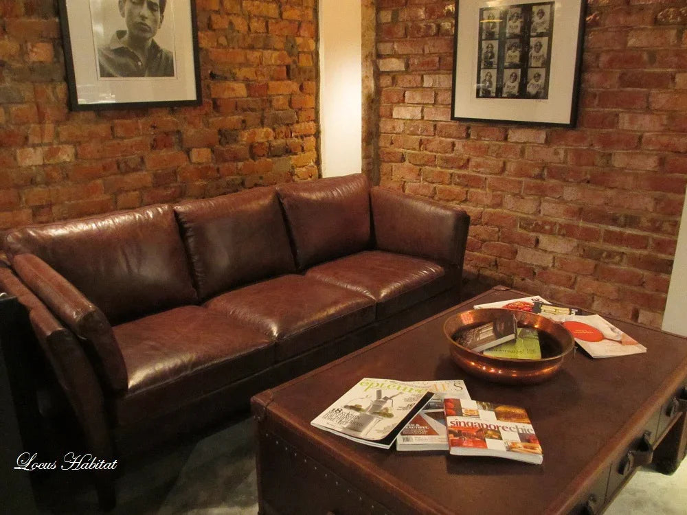 How to Decorate Living Room With Brown Leather Sofa: Stylish Ideas