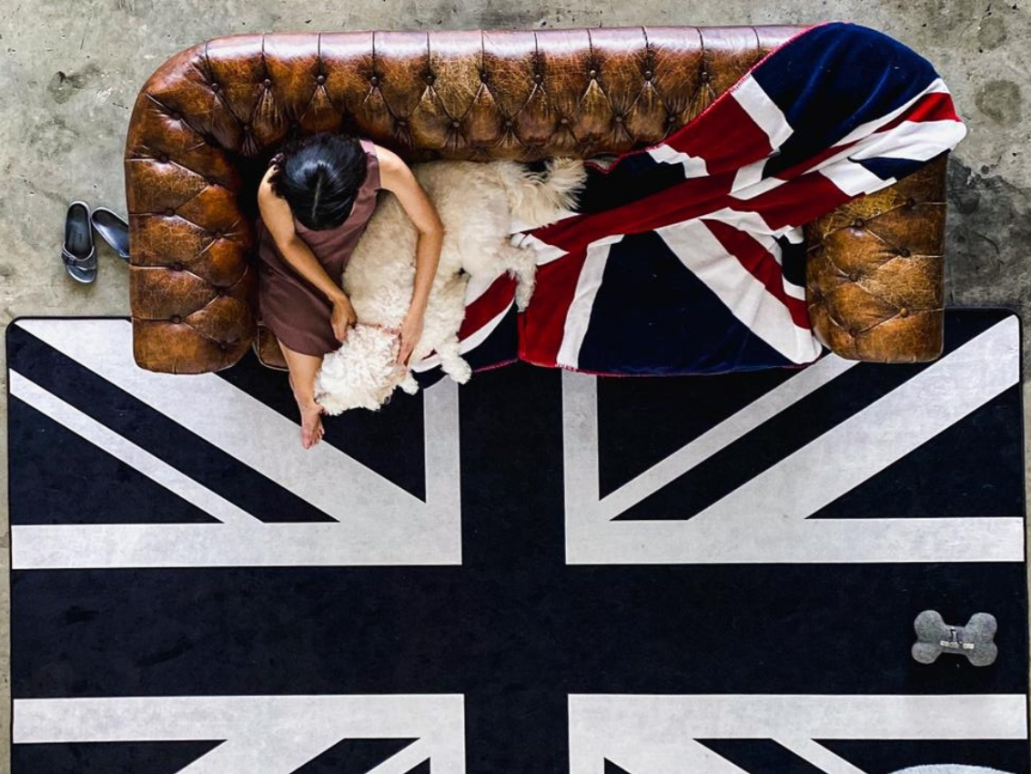 Designer Rugs for Pet Lovers