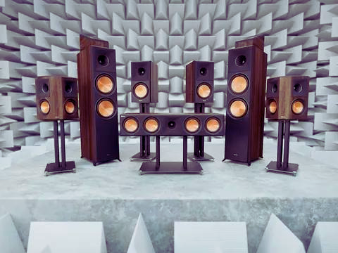 Audio Room Leather Sofa