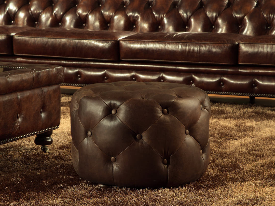 ZENAIDA LH341 - Locus Habitat