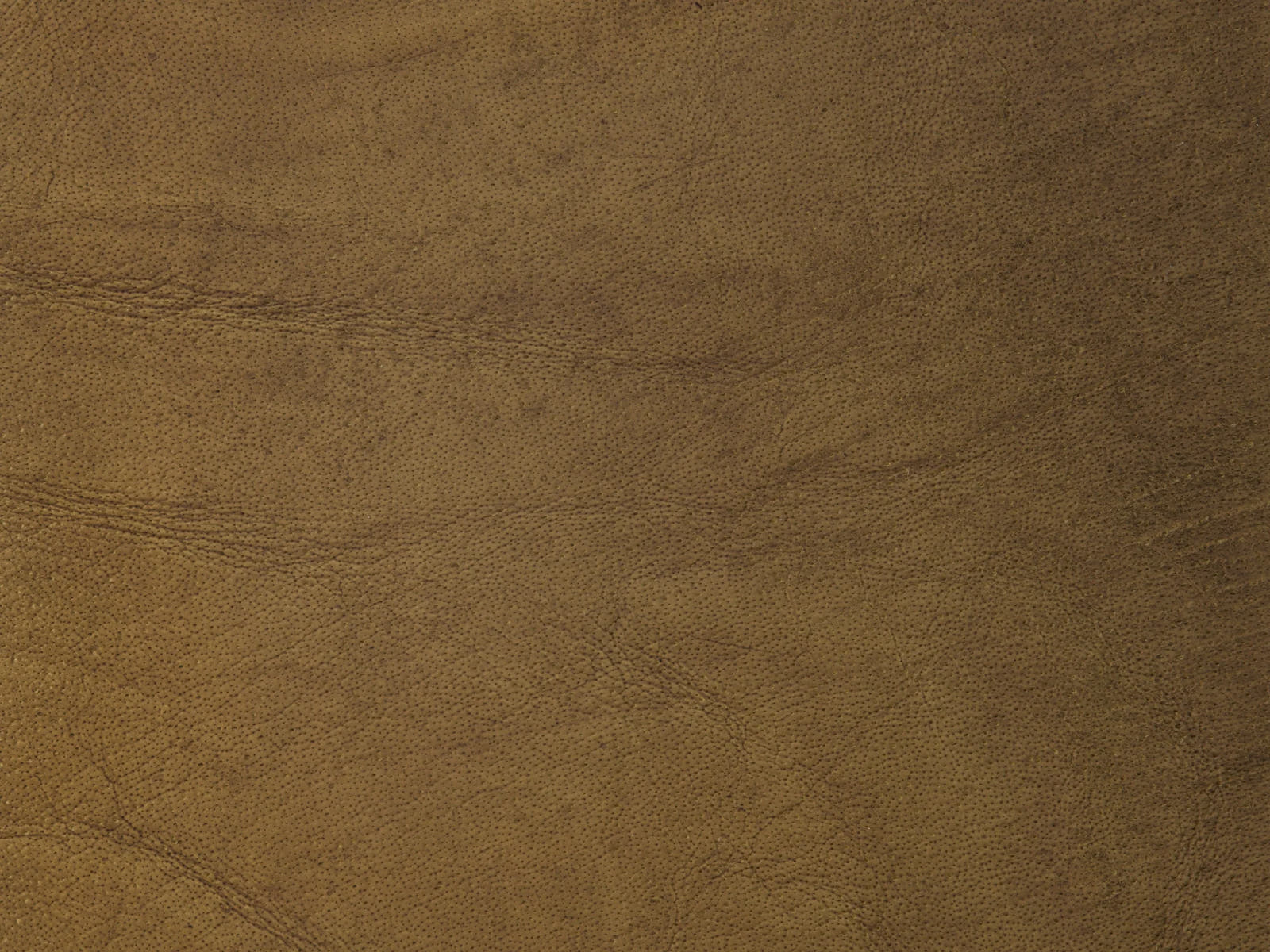 Uniting Teams and Upholding Quality: Exploring Free Team Bonding Activities in Singapore While Distinguishing Genuine Leather Products from the Fake