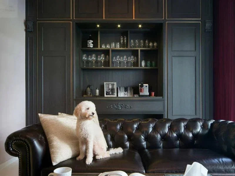 The Ultimate Guide to Choosing Pet-Friendly Furniture That Looks Great