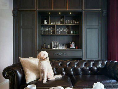 The Ultimate Guide to Choosing Pet-Friendly Furniture That Looks Great