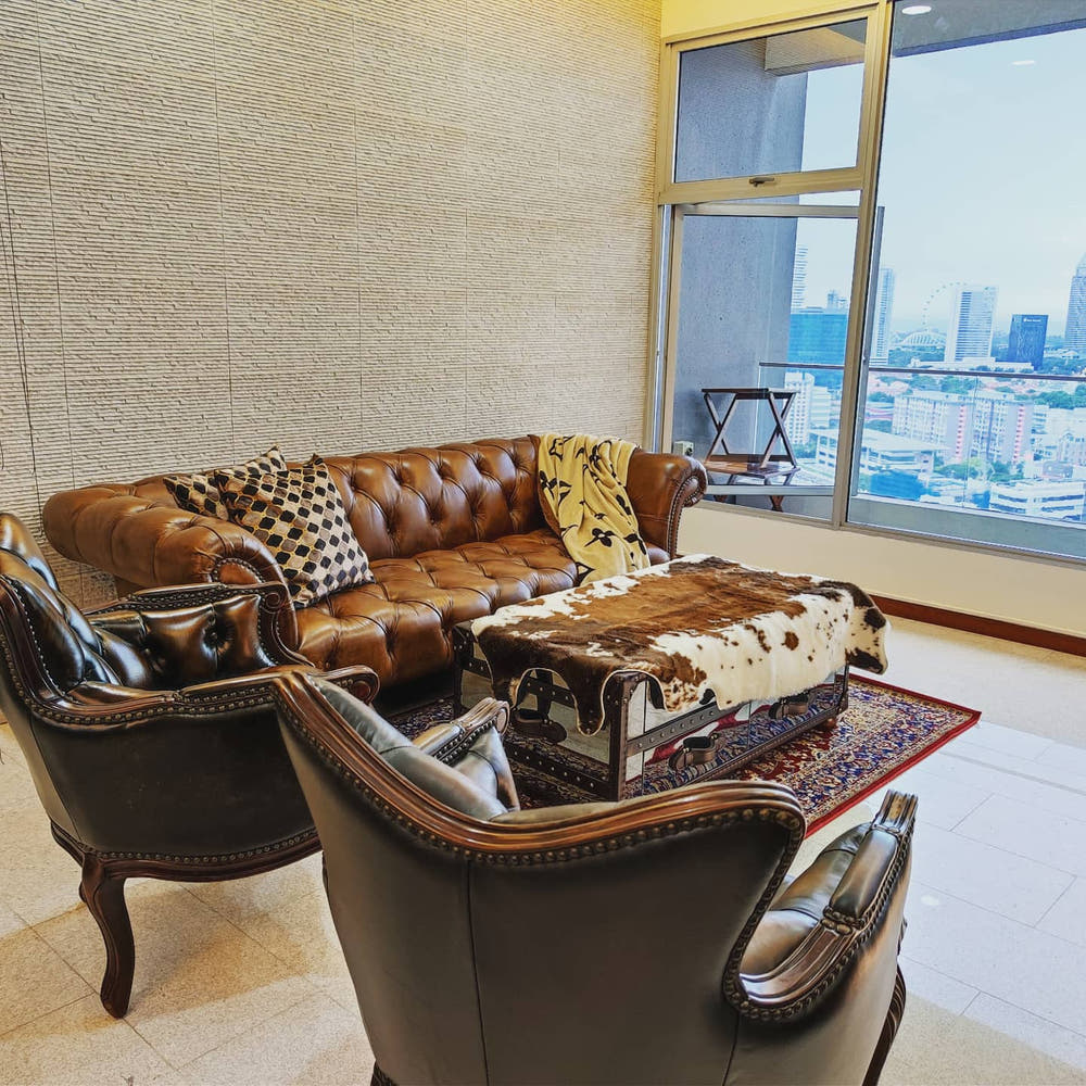 Modern Leather Couch 
