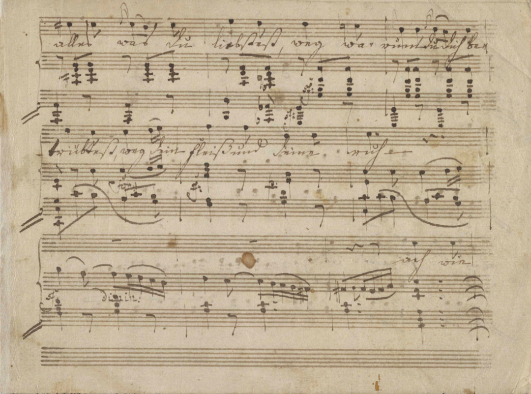 Beethoven - Locus Habitat