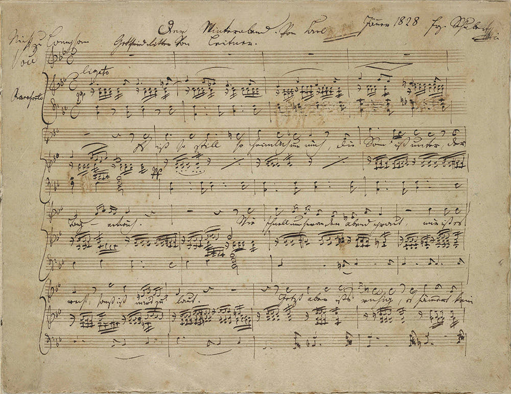 schubert 3 P5 5 for Internet - Locus Habitat