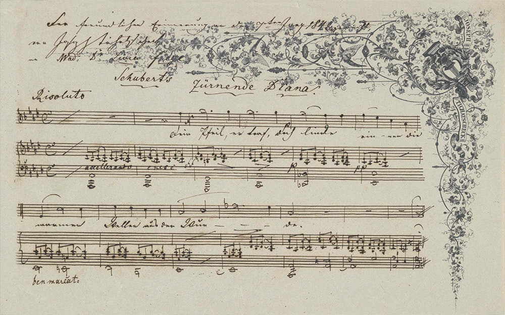 schubert 1 P1 1 for Internet - Locus Habitat